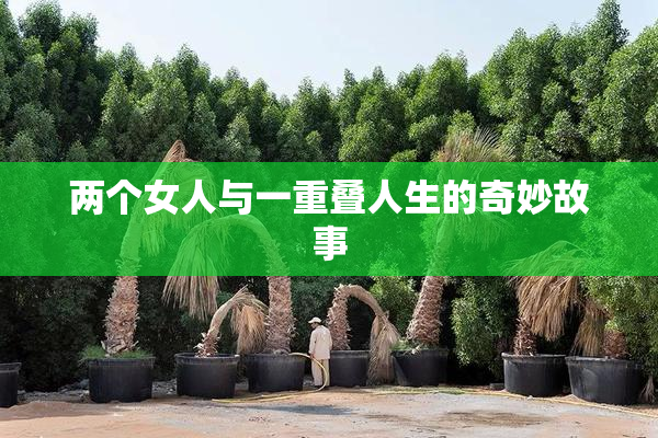 两个女人与一重叠人生的奇妙故事