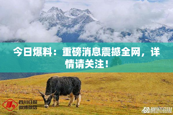今日爆料：重磅消息震撼全网，详情请关注！
