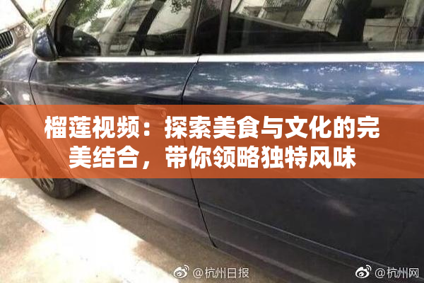 榴莲视频：探索美食与文化的完美结合，带你领略独特风味