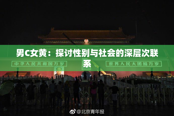 男C女黄：探讨性别与社会的深层次联系