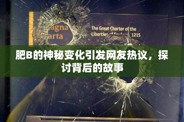 肥B的神秘变化引发网友热议，探讨背后的故事