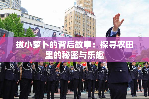 拔小萝卜的背后故事：探寻农田里的秘密与乐趣
