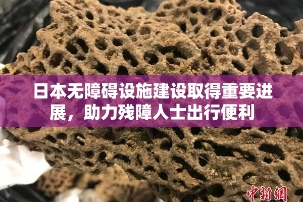 日本无障碍设施建设取得重要进展，助力残障人士出行便利