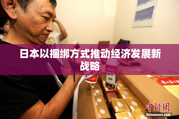 日本以捆绑方式推动经济发展新战略