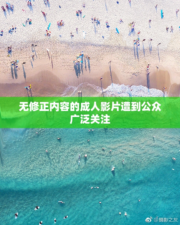 无修正内容的成人影片遭到公众广泛关注