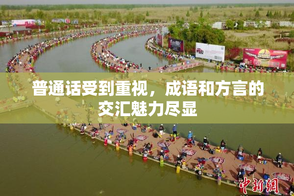 普通话受到重视，成语和方言的交汇魅力尽显