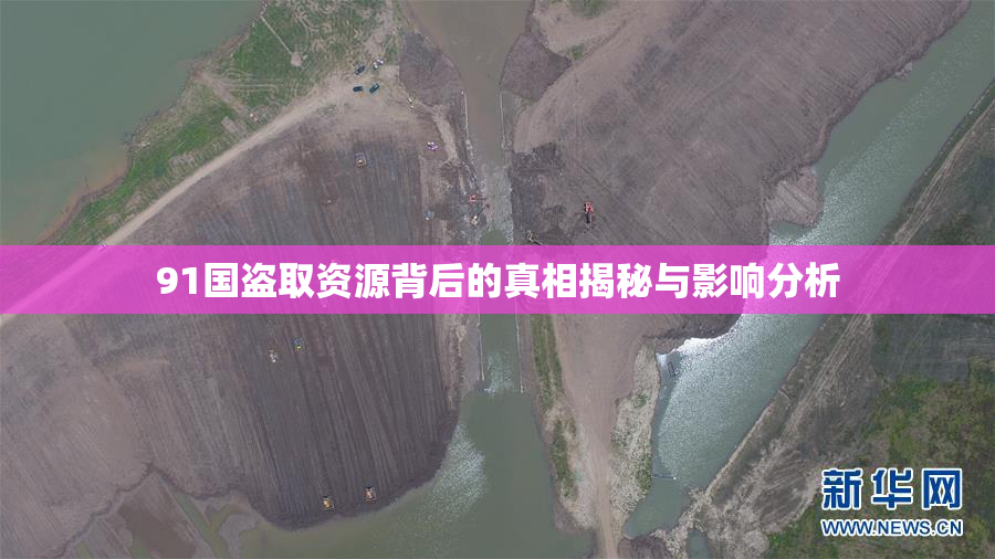 91国盗取资源背后的真相揭秘与影响分析