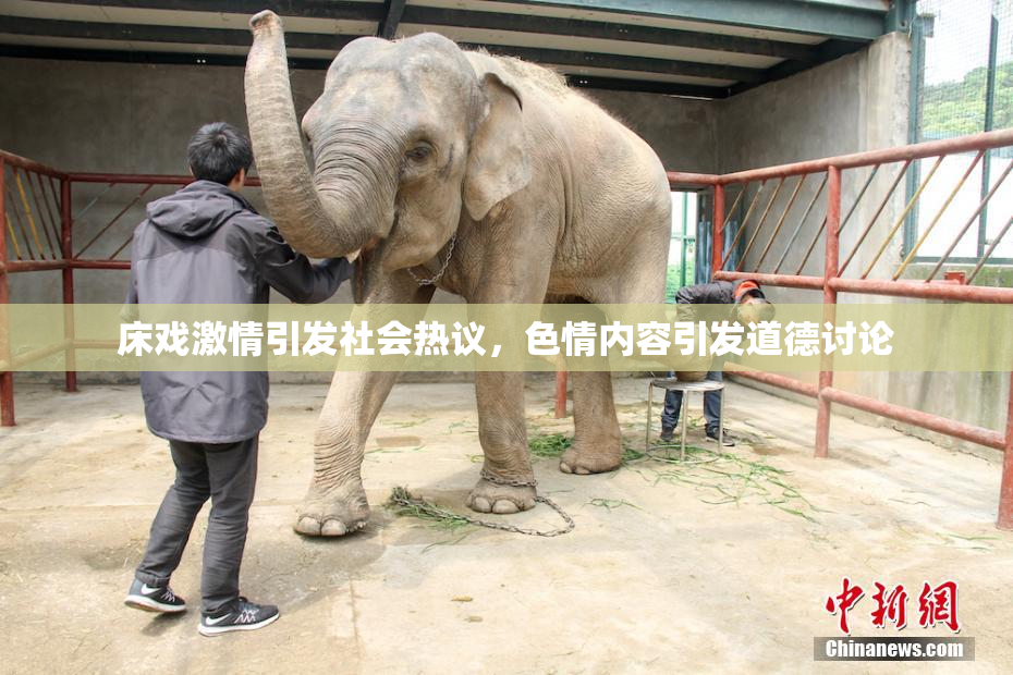 床戏激情引发社会热议，色情内容引发道德讨论