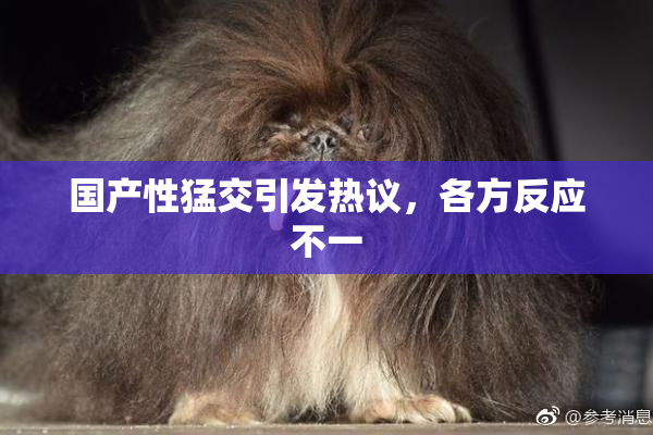 国产性猛交引发热议，各方反应不一