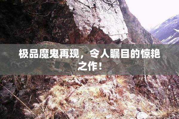 极品魔鬼再现，令人瞩目的惊艳之作！