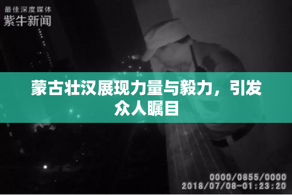 蒙古壮汉展现力量与毅力，引发众人瞩目