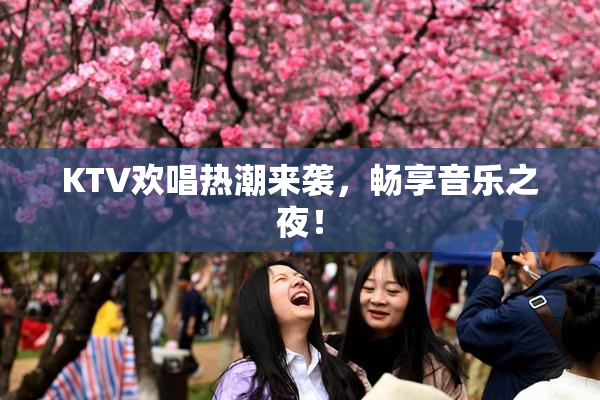 KTV欢唱热潮来袭，畅享音乐之夜！