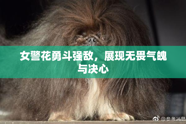 女警花勇斗强敌，展现无畏气魄与决心