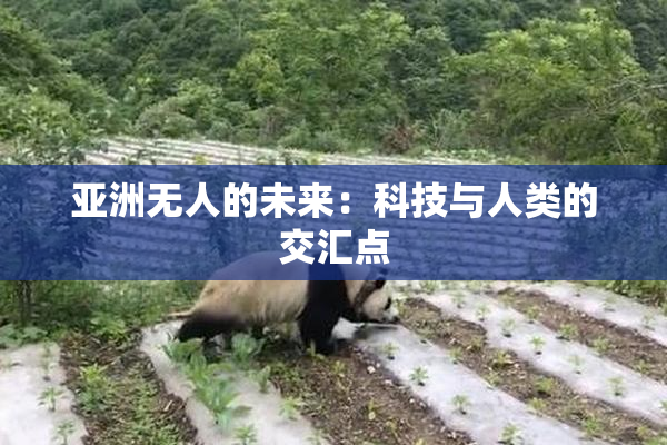 亚洲无人的未来：科技与人类的交汇点