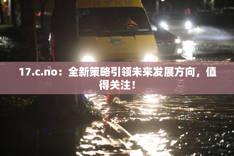 17.c.no：全新策略引领未来发展方向，值得关注！