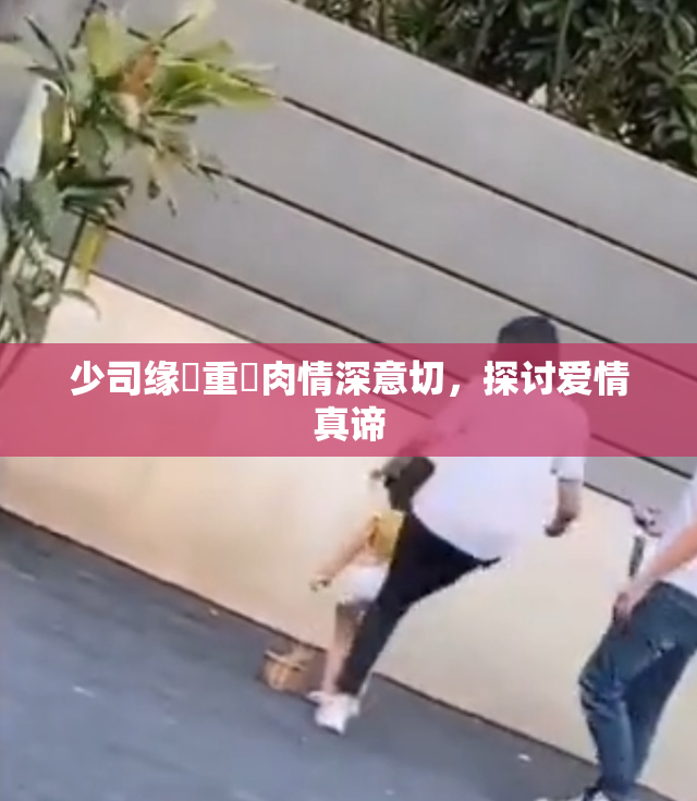 少司缘婬重泬肉情深意切，探讨爱情真谛