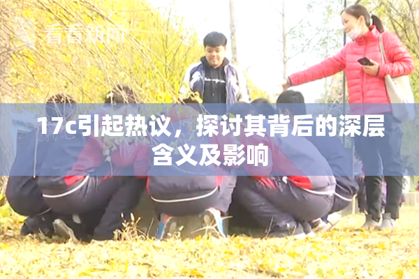 17c引起热议，探讨其背后的深层含义及影响