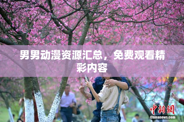 男男动漫资源汇总，免费观看精彩内容