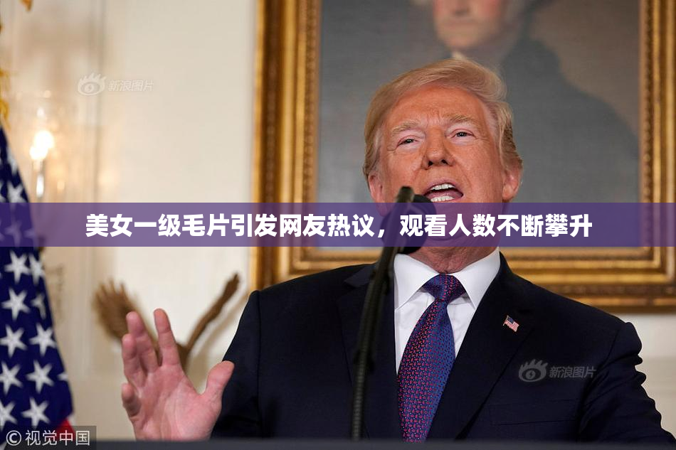 美女一级毛片引发网友热议，观看人数不断攀升