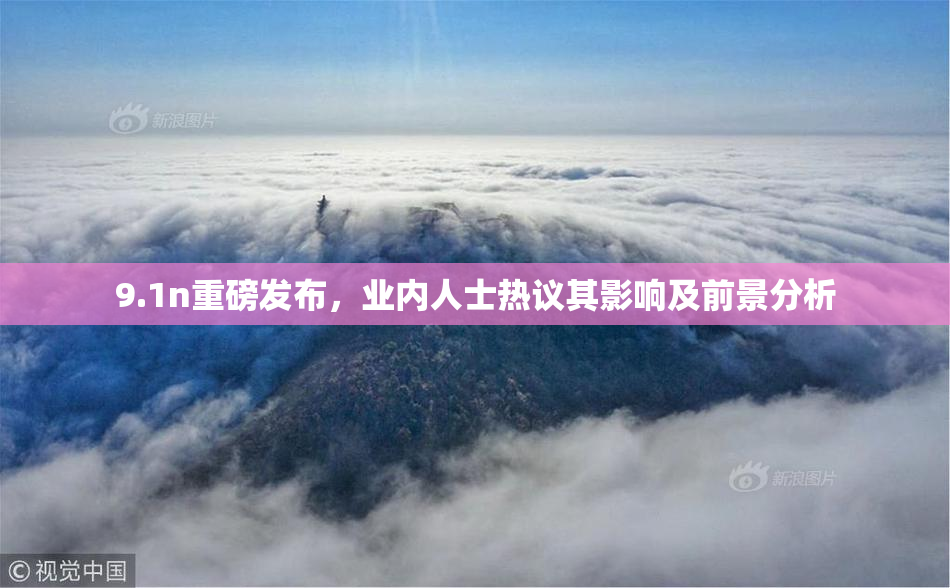 9.1n重磅发布，业内人士热议其影响及前景分析