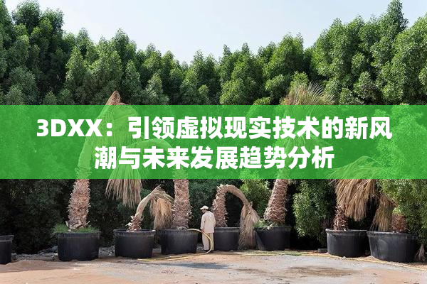 3DXX：引领虚拟现实技术的新风潮与未来发展趋势分析