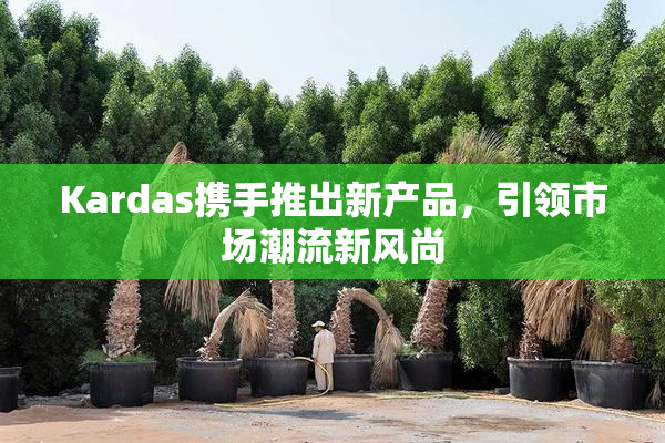 Kardas携手推出新产品，引领市场潮流新风尚