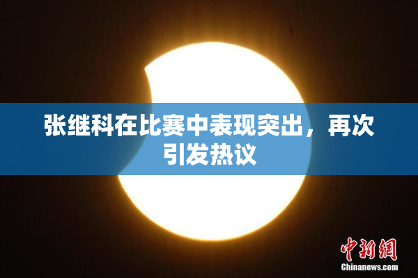 张继科在比赛中表现突出，再次引发热议