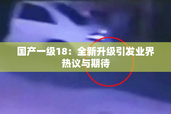国产一级18：全新升级引发业界热议与期待