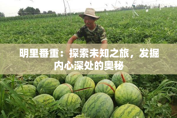 明里番重：探索未知之旅，发掘内心深处的奥秘