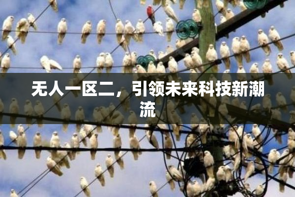 无人一区二，引领未来科技新潮流