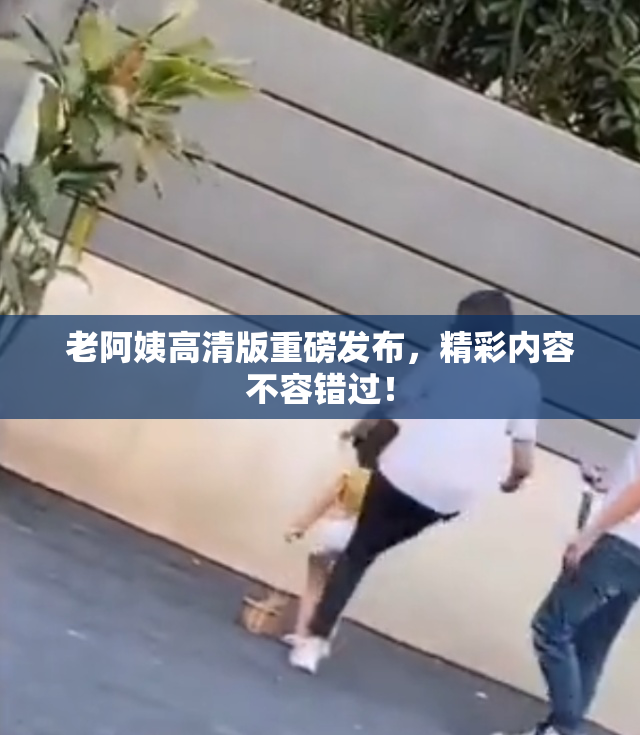 老阿姨高清版重磅发布，精彩内容不容错过！