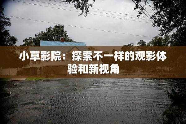 小草影院：探索不一样的观影体验和新视角