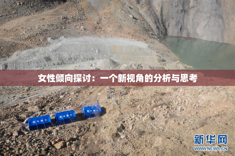 女性倾向探讨：一个新视角的分析与思考
