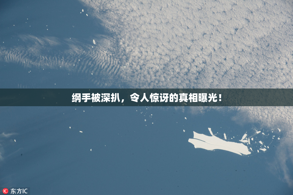 纲手被深扒，令人惊讶的真相曝光！