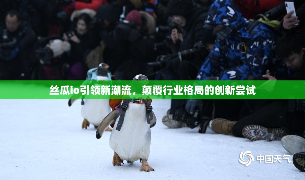 丝瓜io引领新潮流，颠覆行业格局的创新尝试