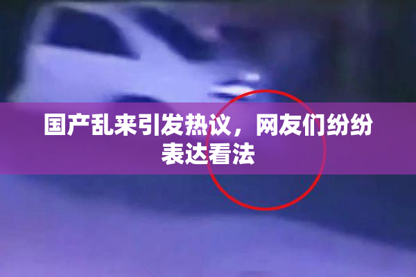 国产乱来引发热议，网友们纷纷表达看法