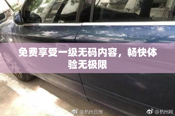 免费享受一级无码内容，畅快体验无极限