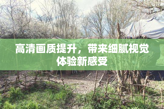 高清画质提升，带来细腻视觉体验新感受