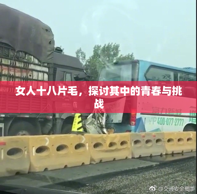 女人十八片毛，探讨其中的青春与挑战