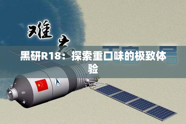 黑研R18：探索重口味的极致体验