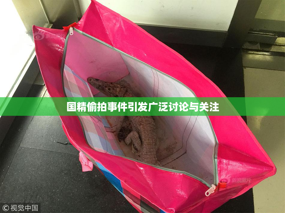 国精偷拍事件引发广泛讨论与关注