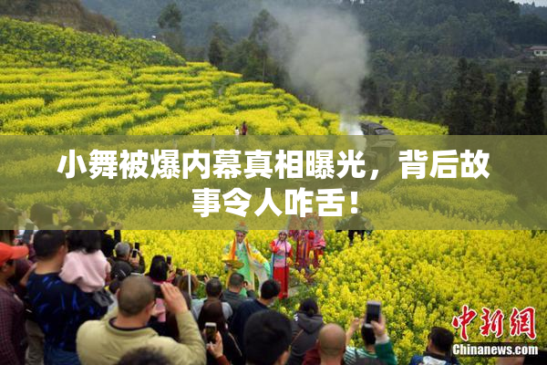 小舞被爆内幕真相曝光，背后故事令人咋舌！