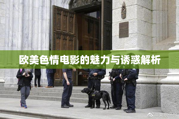 欧美色情电影的魅力与诱惑解析
