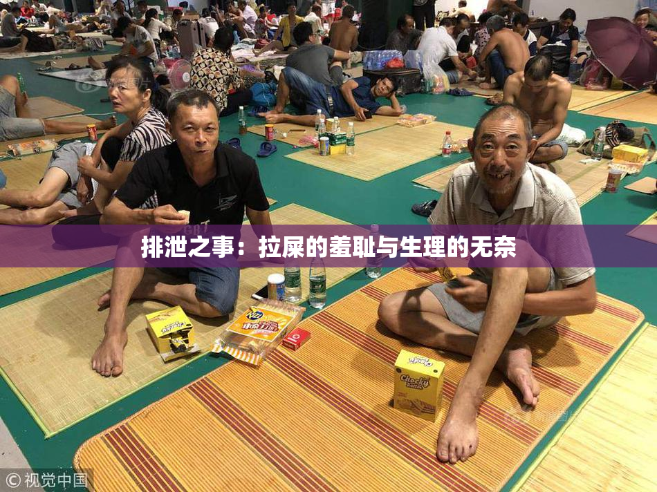 排泄之事：拉屎的羞耻与生理的无奈
