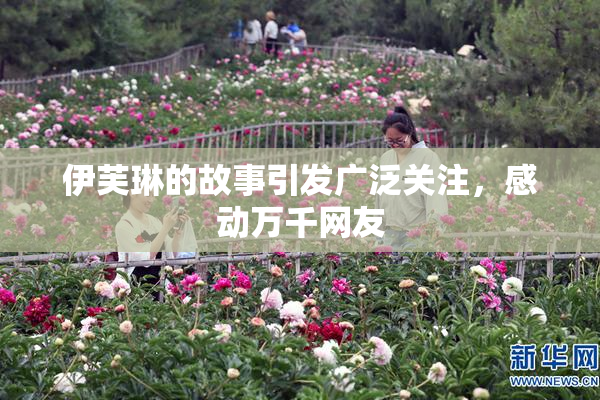 伊芙琳的故事引发广泛关注，感动万千网友