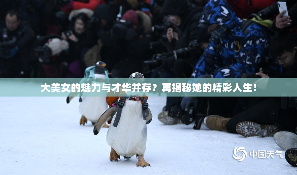 大美女的魅力与才华并存？再揭秘她的精彩人生！