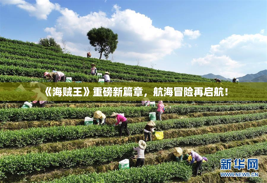 《海贼王》重磅新篇章，航海冒险再启航！