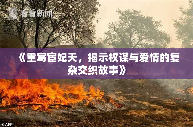 《重写宦妃天，揭示权谋与爱情的复杂交织故事》