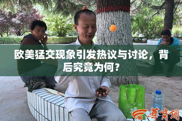 欧美猛交现象引发热议与讨论，背后究竟为何？