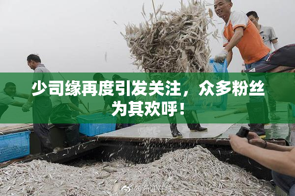 少司缘再度引发关注，众多粉丝为其欢呼！